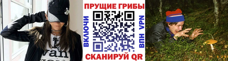Псилоцибиновые грибы Magic Shrooms  Калининград 