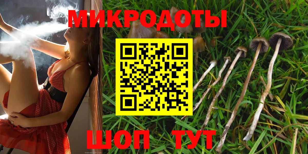 Галлюциногенные грибы Cubensis  Вход с VPN  Галлюциногенные грибы мицелий  Калининград 